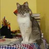 Отзыв от Нелли Матвеева